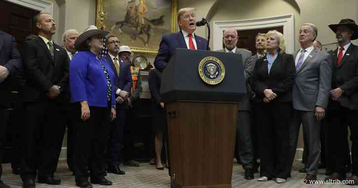 Trump moves to exempt big projects from environmental review