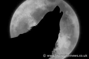 First full 'wolf' moon of 2020 to appear on Friday night