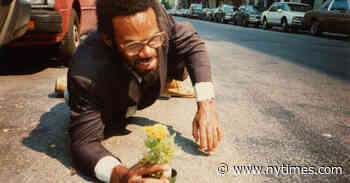 What Makes Pope.L’s Art Endure? (It’s Not the Famous Crawls)