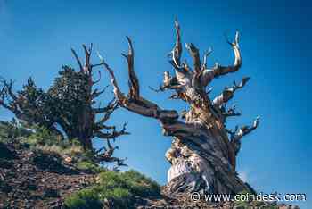 ETF Giant Leads $17.7M Series A for Blockchain Compliance Startup