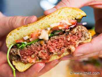 Impossible Foods and beyond: Burgers, bacon, fish born from plants and labs     - CNET