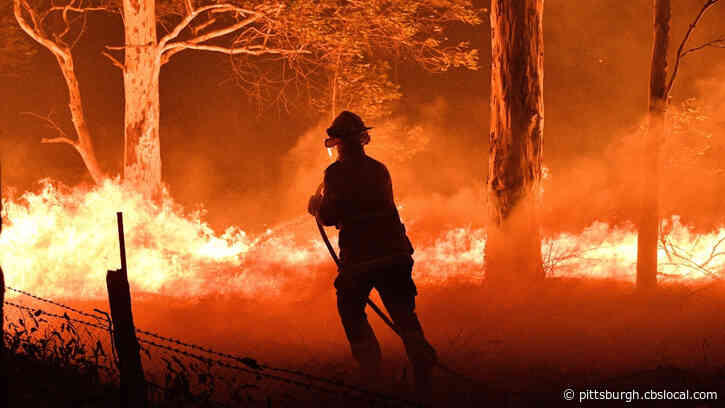Here’s How To Help Victims Of Australia’s Apocalyptic Wildfires