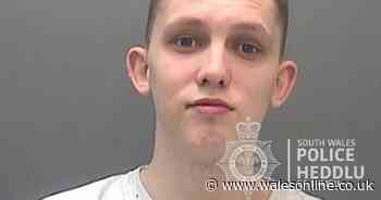 Teenage drug dealer caught after advertising ecstasy on Snapchat