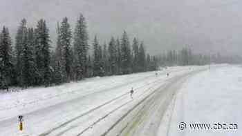 North Battleford woman dies in Trans-Canada Highway crash near Golden, B.C.