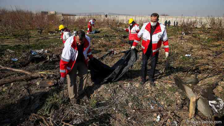 Iranian Missile Blew Passenger Jet Out of the Sky, U.S. Suspects