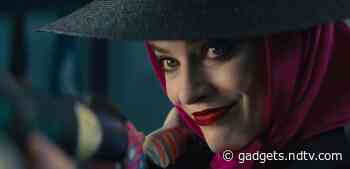 Birds of Prey Trailer: Final Look at Margot Robbie DC Movie Released in English, Hindi