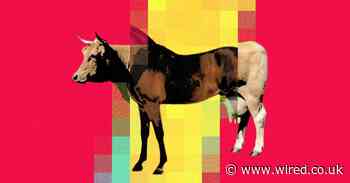 The worlds of technology and food have fully collided – in a good way