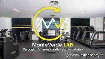 Monteverde Lab, il primo Centro Fitness a Roma con Bio Circuit