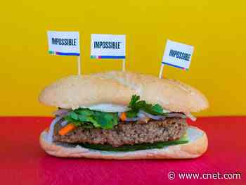 Impossible Pork: Everything we know about the newest plant-based meat substitute     - CNET