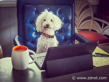 Work better, do more in 2020: Get inspired for a more innovative year and beyond