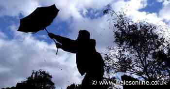 The Met Office forecast as 80 mph winds to batter Wales next week