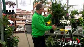 Winter Garden Tips
