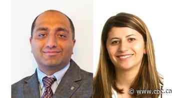 'Superbly accomplished scholars': engineering community mourns loss of couple in Iran plane crash