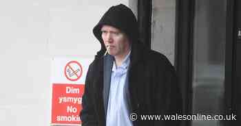 Staffordshire bull terrier destroyed after attacking neighbour bringing in the washing