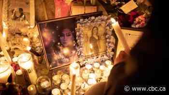 'Now I am alone': Family and friends remember the Iran plane crash victims who called Toronto home