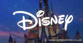 Disney is looking for kids and teens to star in lead roles for Peter Pan live action remake