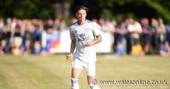 The Cardiff City evening transfer update as Neil Harris makes loan admission and star says he was 'ashamed' of Swansea City loss
