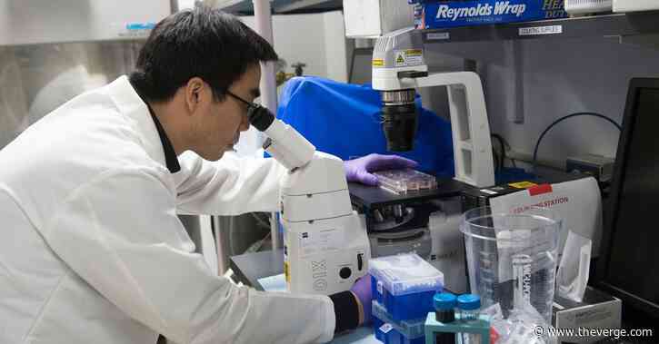 While survival rates soar for other cancers, funding gaps limit progress on cervical and uterine cancer