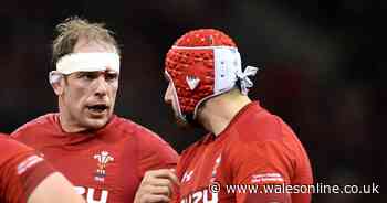 Rugby evening headlines as a glut of Wales stars return to action ahead of Six Nations announcement as James Haskell makes Wasps revelation