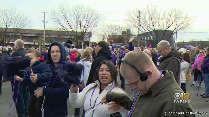Purple Pandemonium | Ravens Excitement Builds At Rallies Around The State