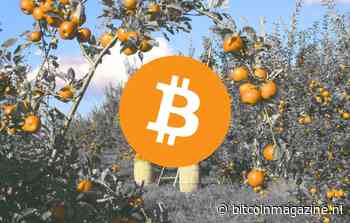 Bitcoin miningbedrijf DMG installeert 1.000 nieuwe bitcoin miners voor klant