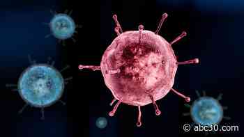CDC estimates 9.7 million cases of the flu this season
