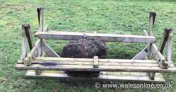 Drug dealing, vandalism, and aggressive begging reportedly blighting Swansea parks