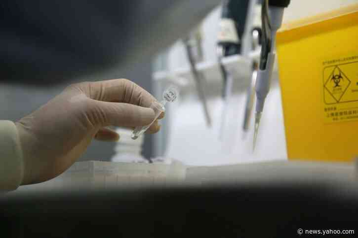 China believes new virus behind mystery pneumonia outbreak