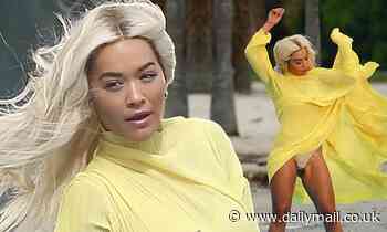 Rita Ora suffers an awkward wardrobe mishap as her dress rides up in the Miami breeze
