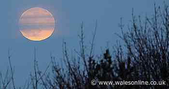 The breathtaking pictures of the Wolf Moon as rare celestial event lights up the sky