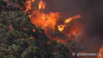 Australia wildfires feel close to home in Sask.