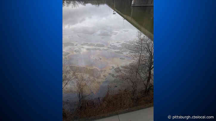 River Rescue Tries To Track Down Source Of Sheen Seen On Allegheny River