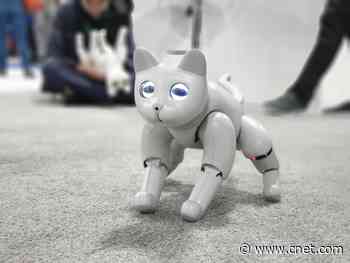 Going paws-on with a robotic cat that listens to your commands (sometimes) video     - CNET