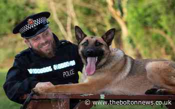 Rescue dog joins GMP after passing tests