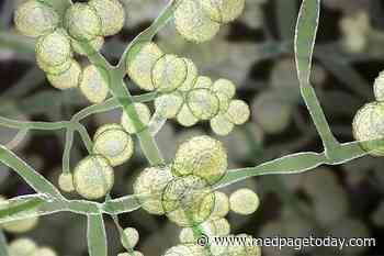 Pan-Resistant C. Auris Found in New York City