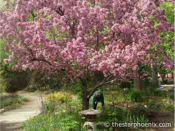 Parish Notes: Spiritual meditations