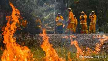 Donations to Australia fire relief shouldn't do a job that's up to the Aussie government, critics argue