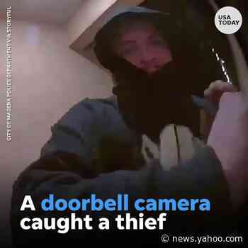 Amazon's Ring fires four employees for snooping on customers' doorbell camera video feeds