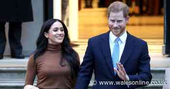 Where most of Prince Harry and Meghan Markle's money comes from