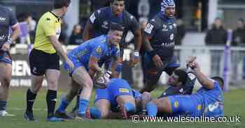 Castres 42-14 Dragons: Gwent region knocked off perch in pool after defence goes awol in European Challenge Cup