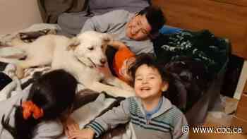 'Something needs to change in Aklavik': N.W.T. family's dog shot by bylaw officer