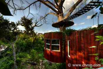10 amazing Texas tree house hotels that will make you feel like a kid again