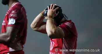 Scarlets 15-27 Toulon: Disappointing defeat deals big blow to Challenge Cup quarter-final hopes