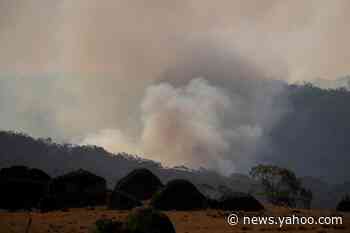 Australian PM proposes high-powered inquiry into bushfires response