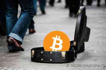 12% van grootste goede doelen VS accepteert bitcoin (BTC)