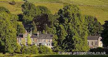 Good Pub Guide 2020: The best boozers to visit in England and Wales