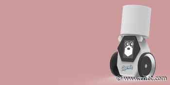 These Charmin robots make us wonder: Is pooping the next tech frontier?     - CNET