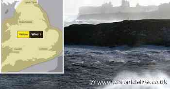 Storm Brendan: Met Office warns gale force winds up to 70mph set to batter the North East