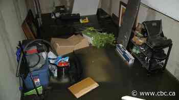 Townhouses evacuated in Richmond Hill as heavy rain causes flooding