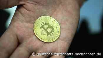 Sie horten wieder: 60 Prozent der Bitcoins seit über einem Jahr nicht bewegt